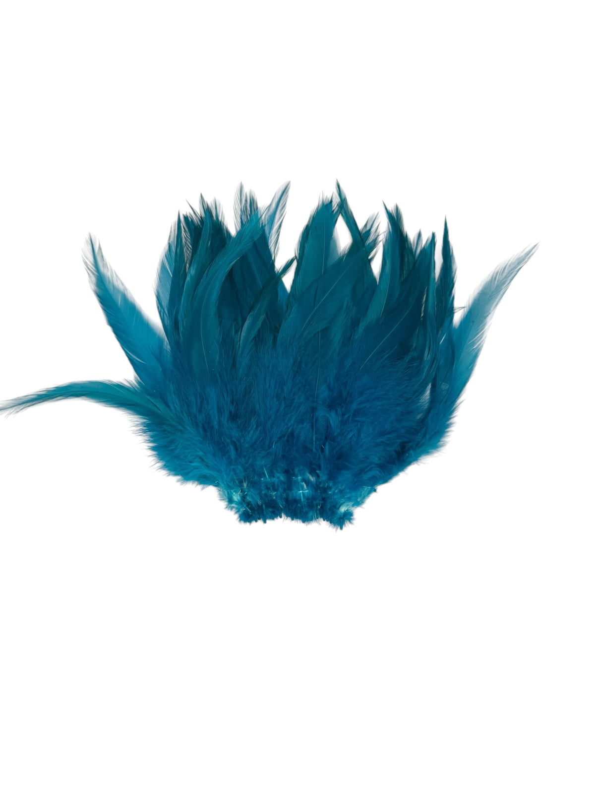 CLEARANCE FEATHERS