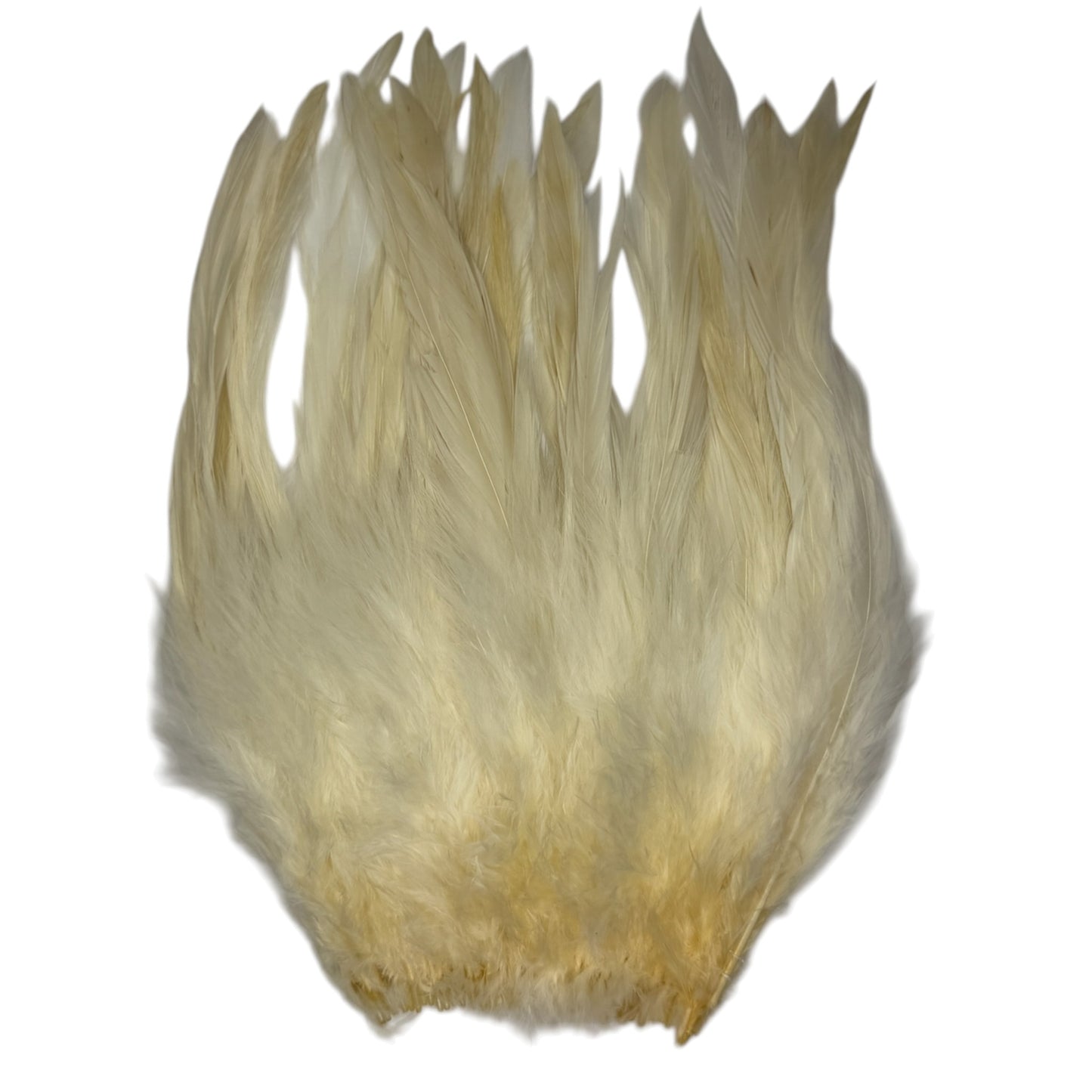 CLEARANCE FEATHERS