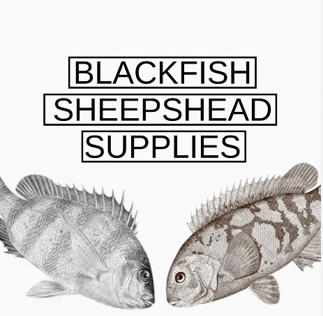 SHEEPSHEAD - BLACKFISH - TAUTOG SUPPLIES