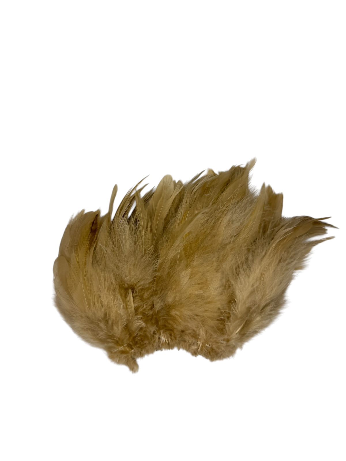 CLEARANCE FEATHERS