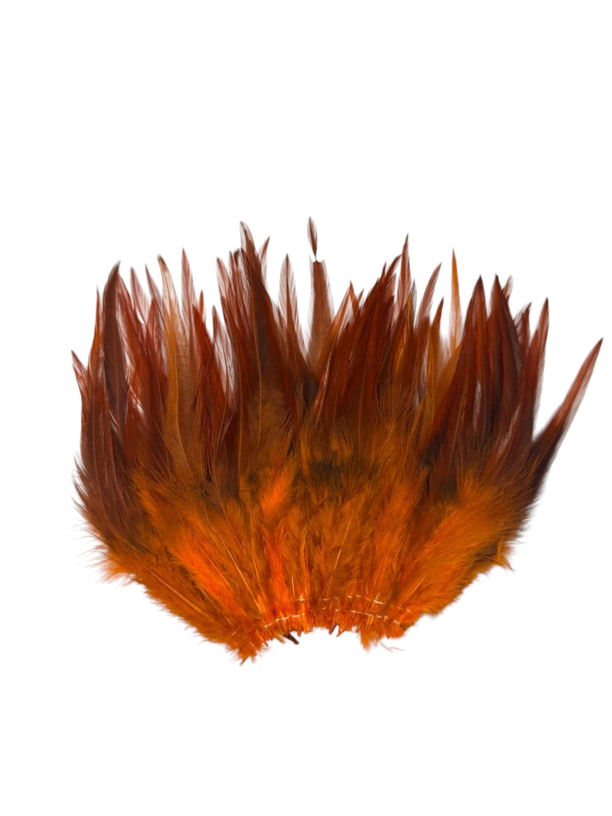 CLEARANCE FEATHERS