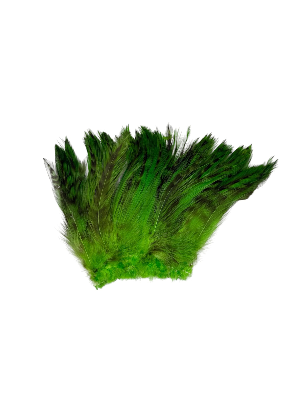 CLEARANCE FEATHERS