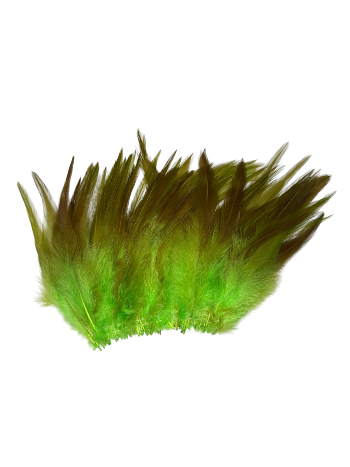 CLEARANCE FEATHERS