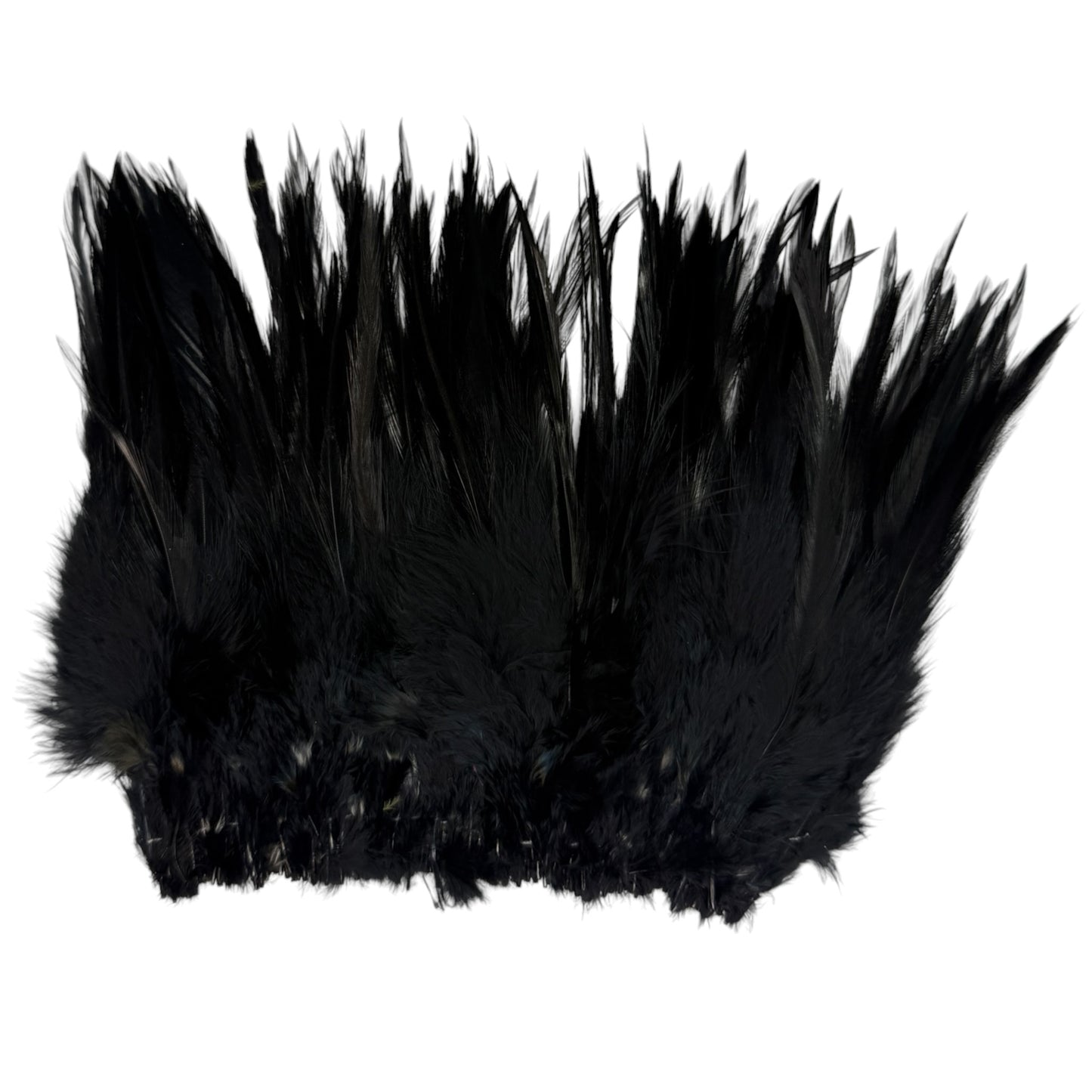CLEARANCE FEATHERS
