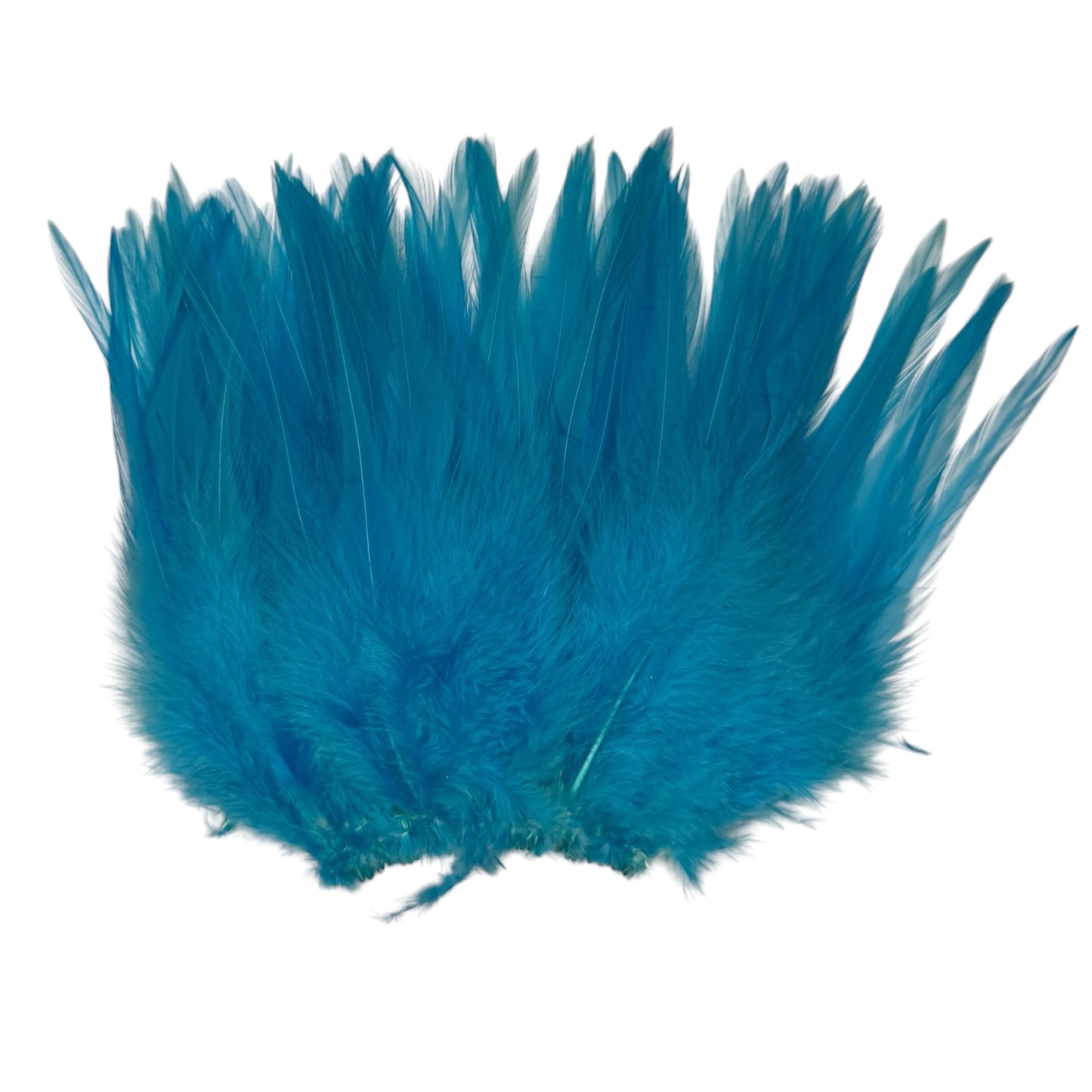 CLEARANCE FEATHERS