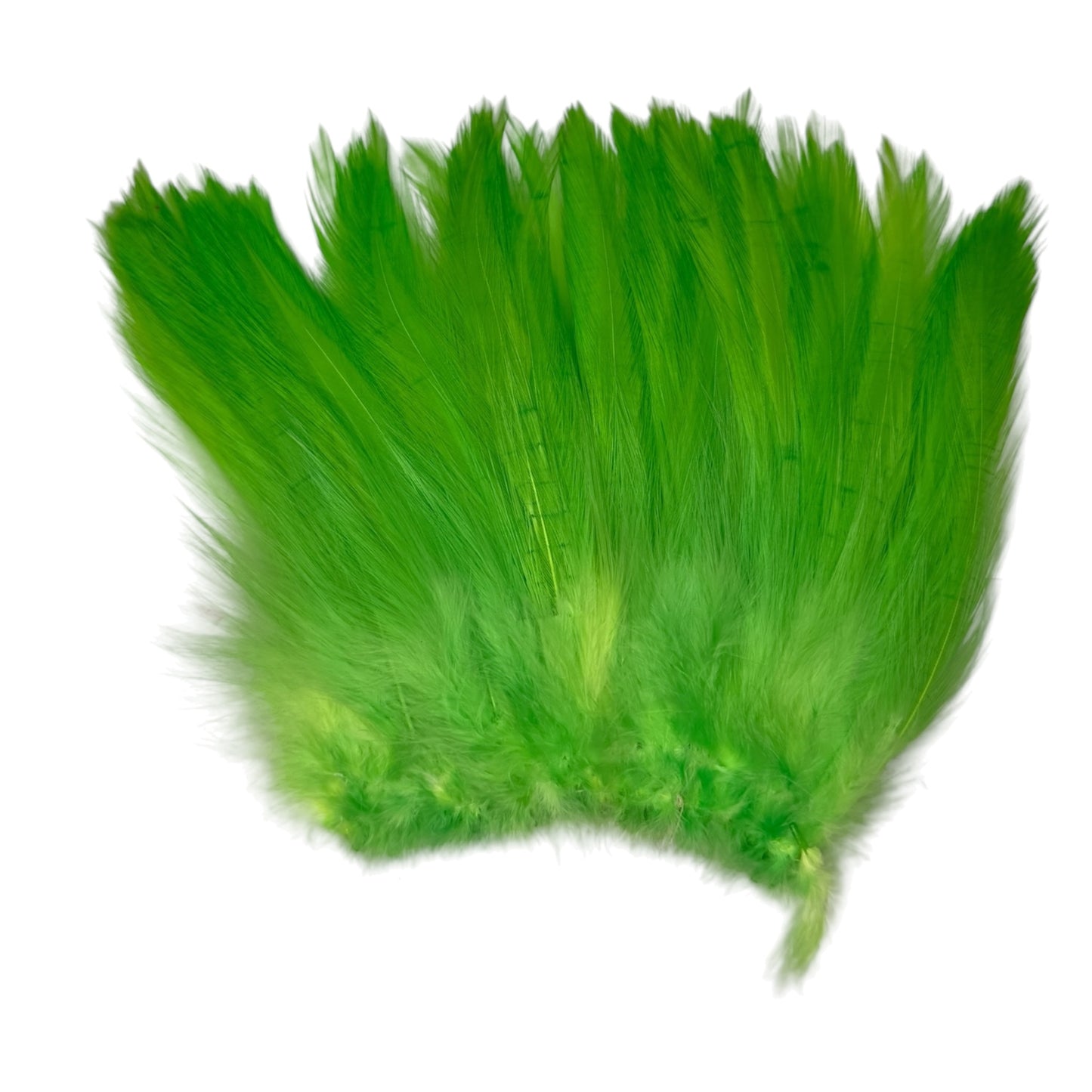 CLEARANCE FEATHERS