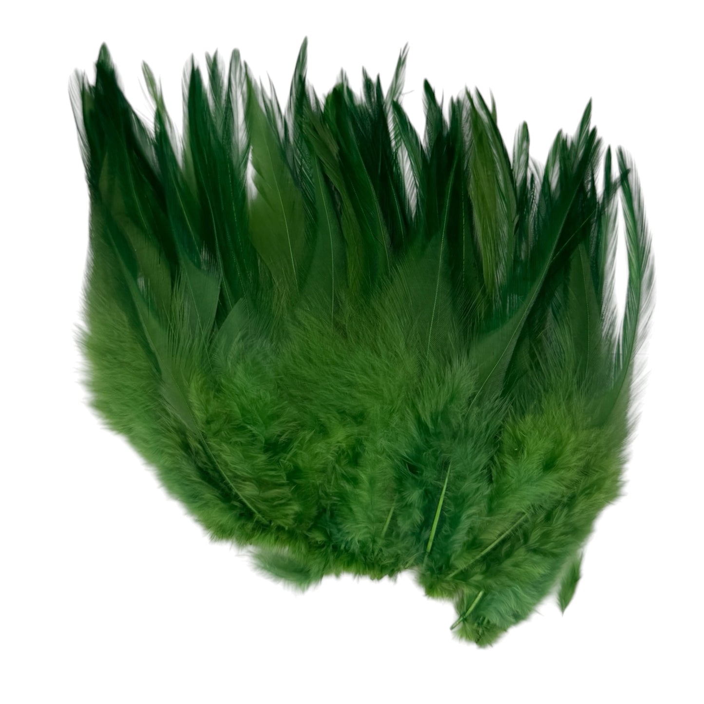 CLEARANCE FEATHERS