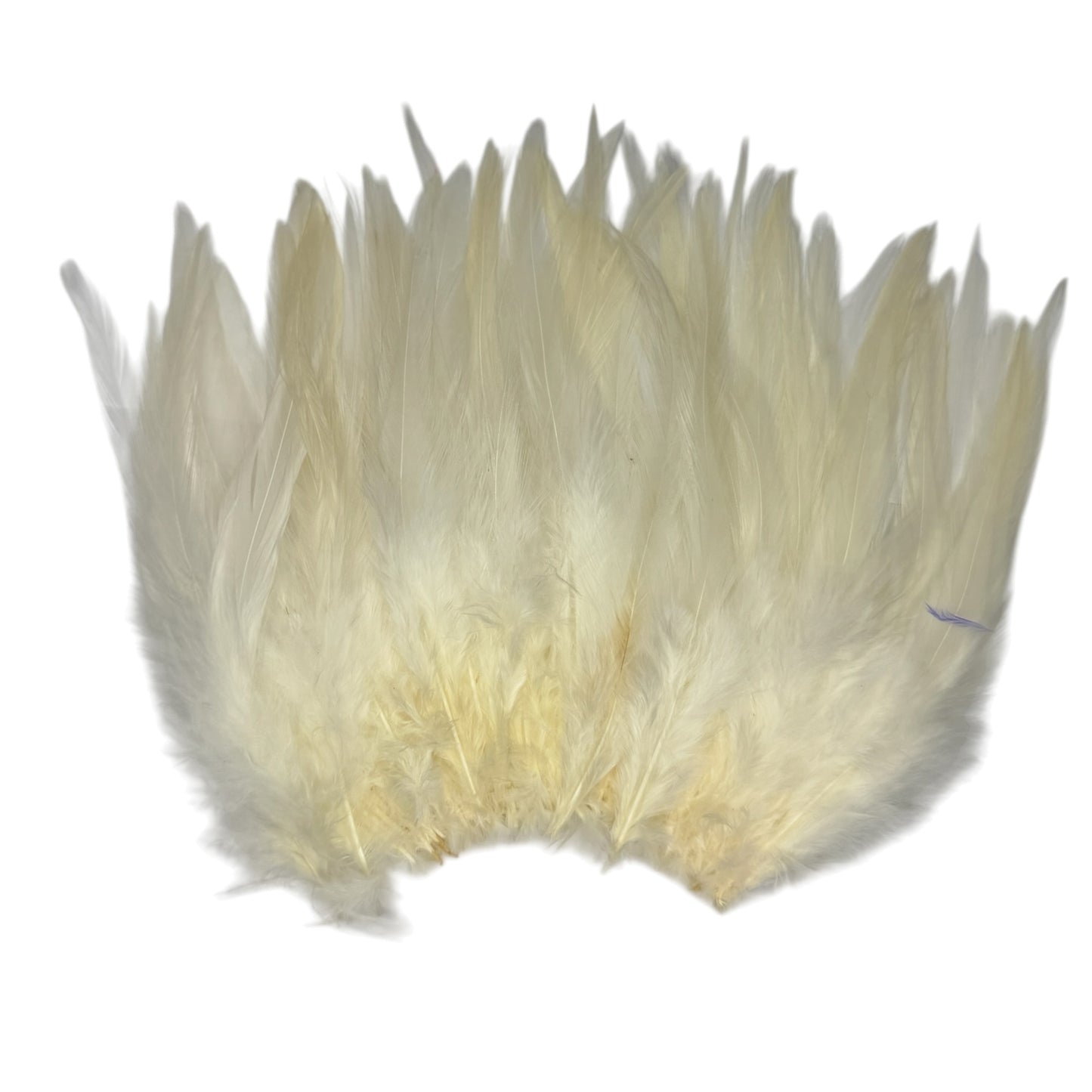 CLEARANCE FEATHERS