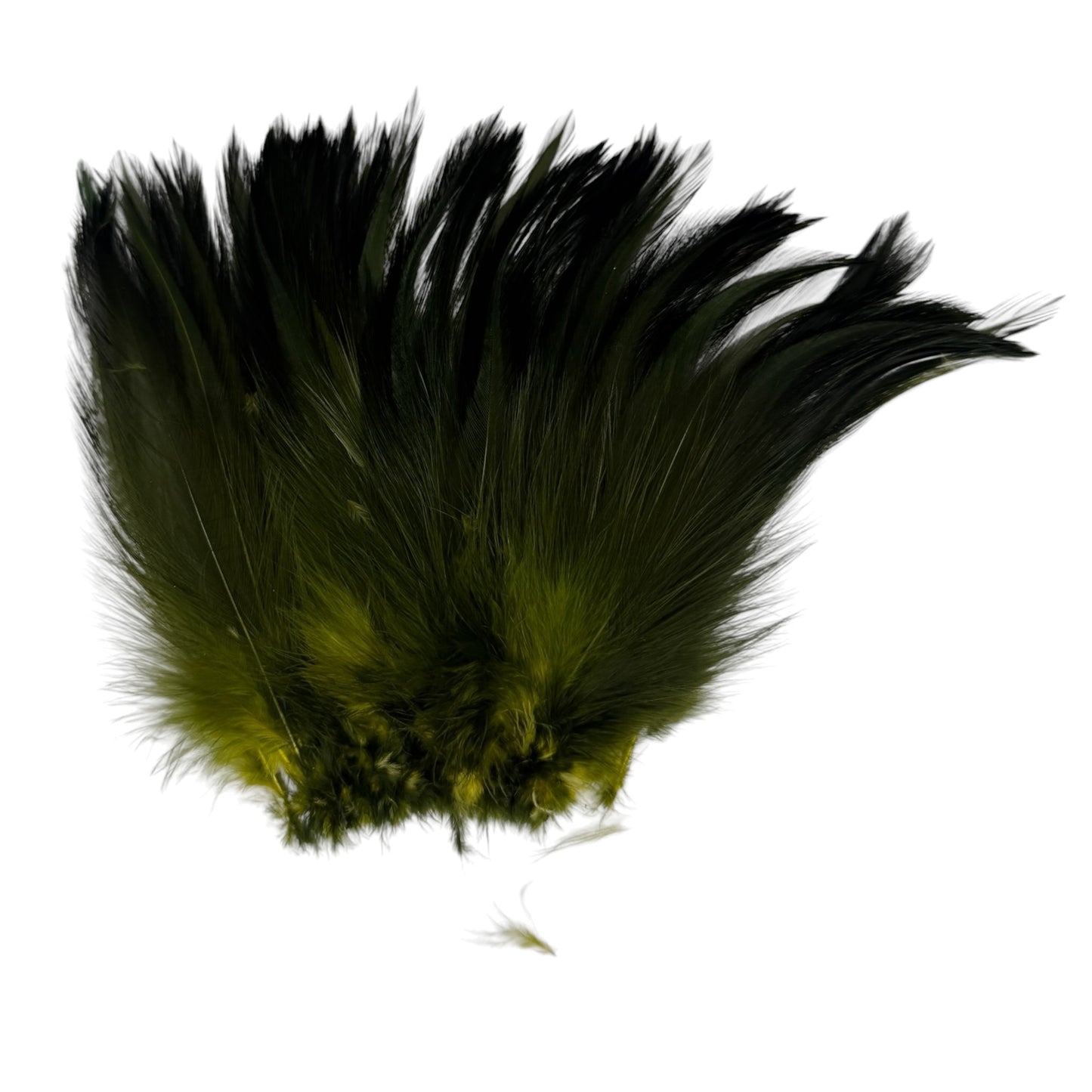 CLEARANCE FEATHERS