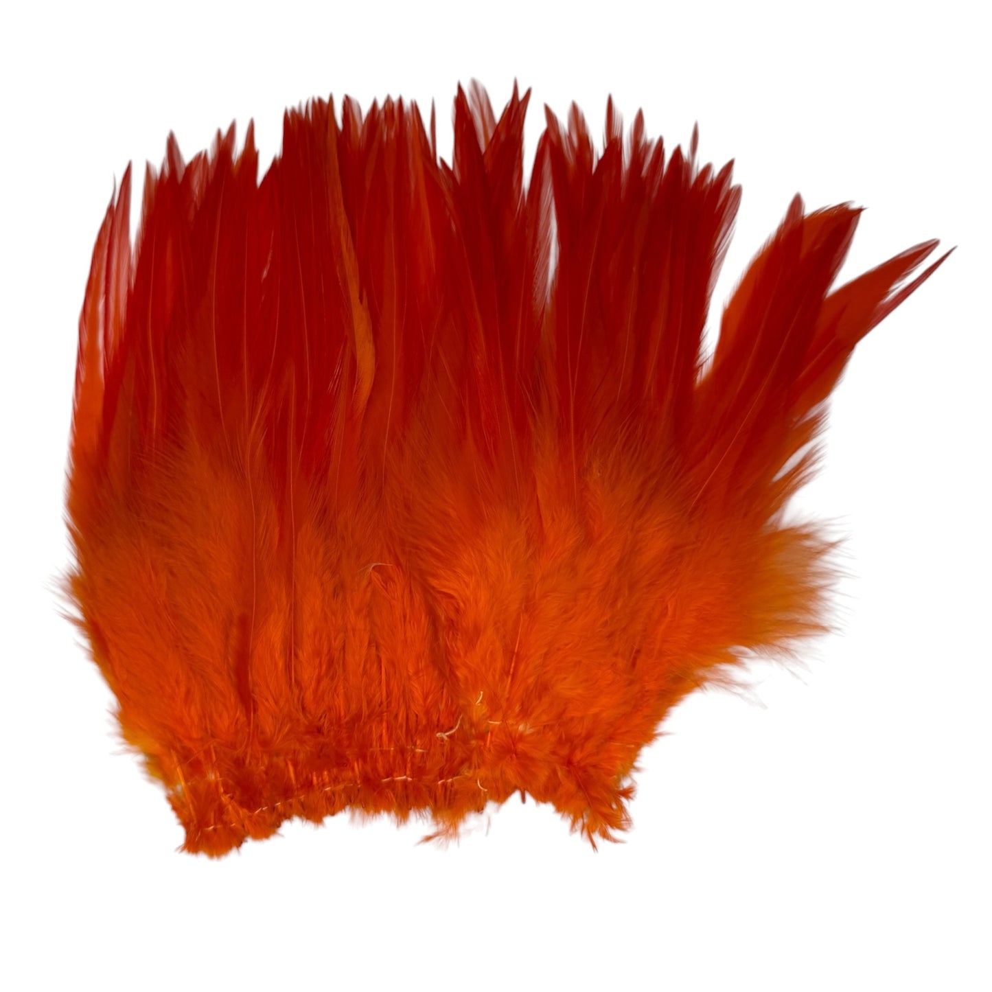 CLEARANCE FEATHERS