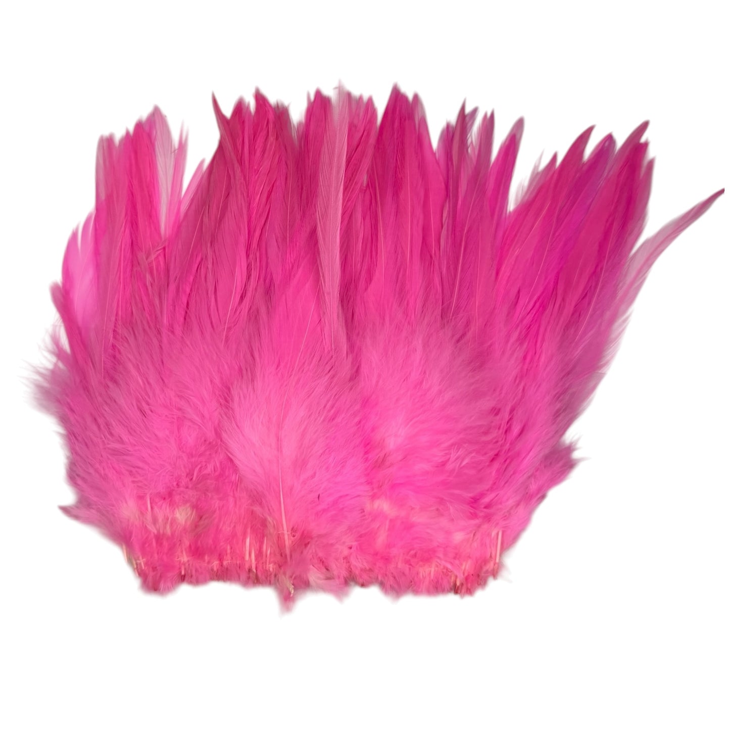 CLEARANCE FEATHERS