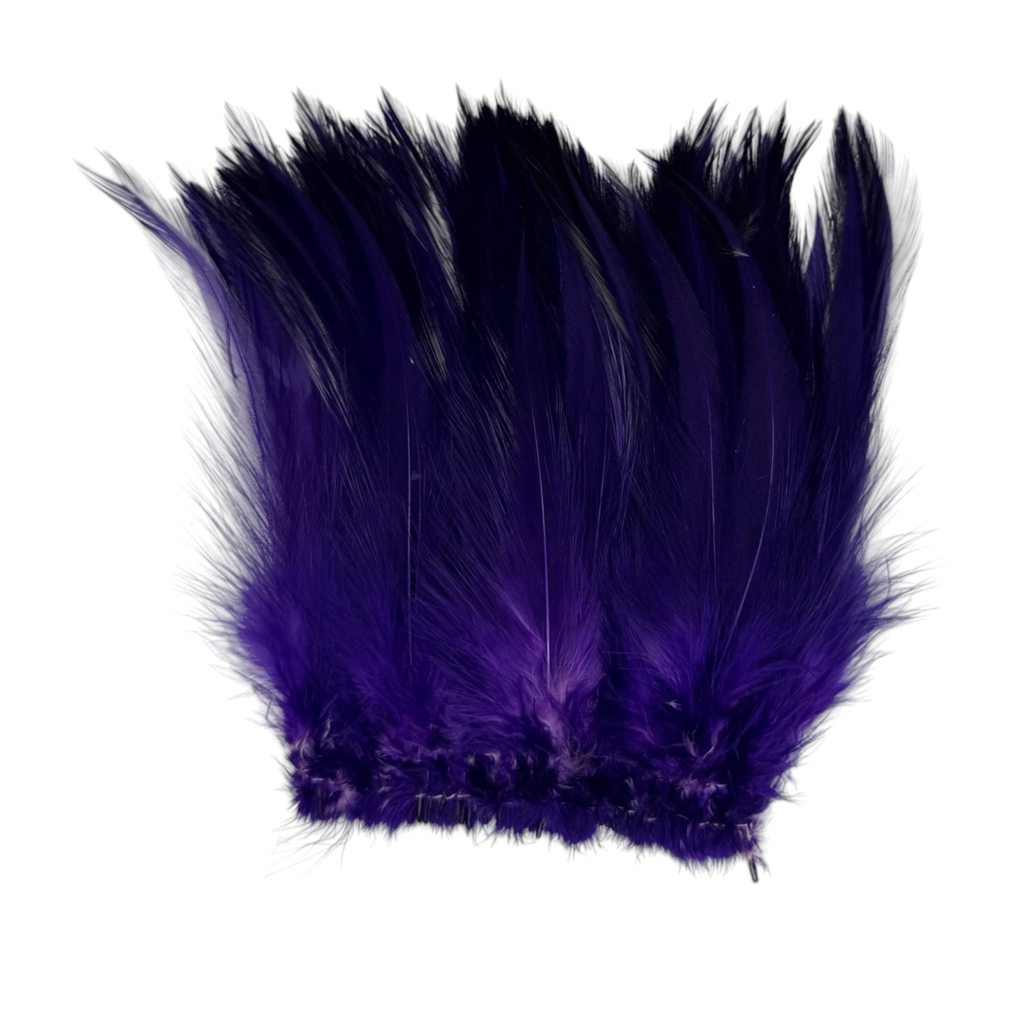 CLEARANCE FEATHERS