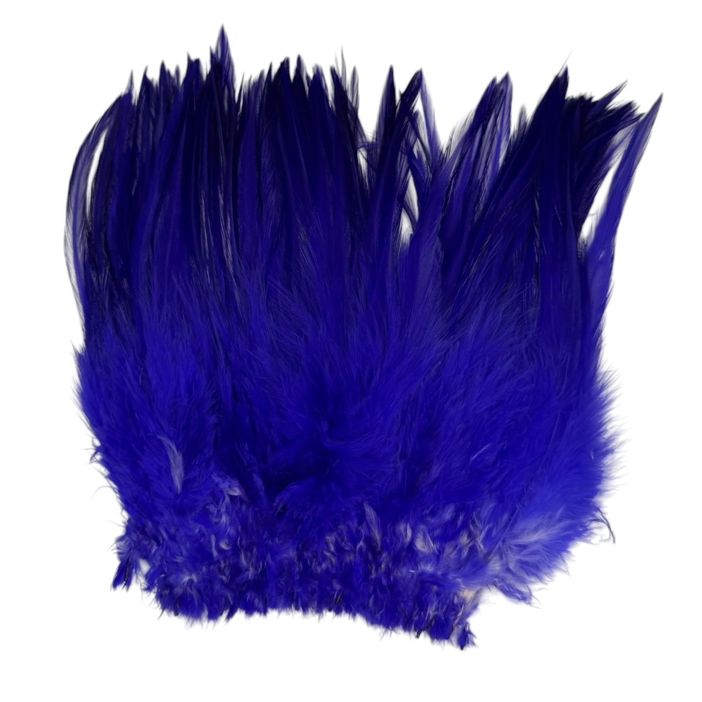 CLEARANCE FEATHERS