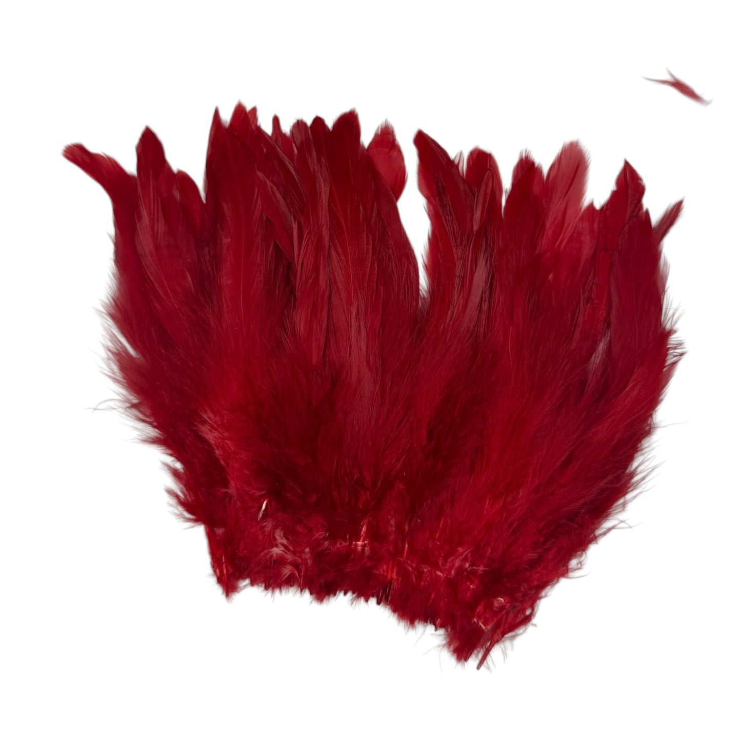 CLEARANCE FEATHERS