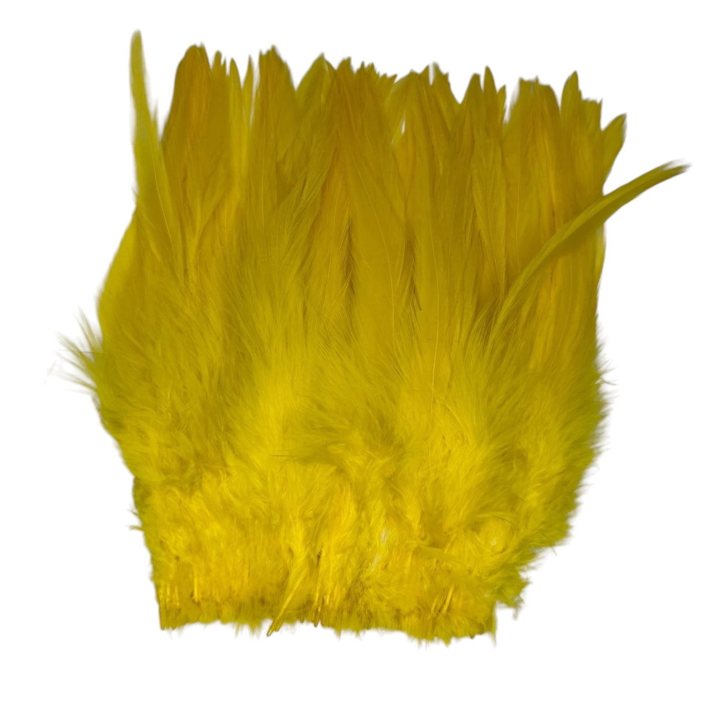 CLEARANCE FEATHERS