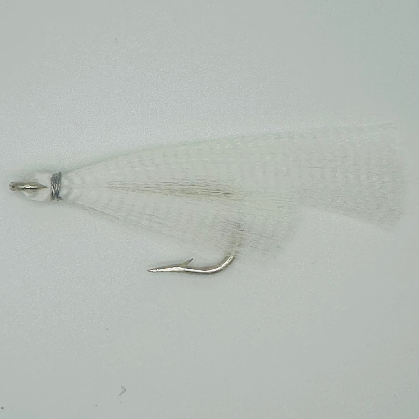 #3 KINGFISH BUG MANY COLORS